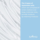 Isntree Hyaluronic Acid Water Sleeping Mask 100ml / 3.38 fl. oz