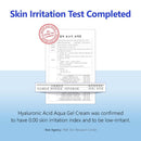 Isntree Hyalronic acid aqua gel cream 100ml / 3.38 fl. oz.