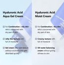 Isntree Hyalronic acid aqua gel cream 100ml / 3.38 fl. oz.