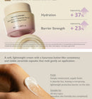 Haruharu Black Rice Black Rice 5 Ceramide Barrier Moisturizing Cream - 50ml