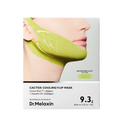 Cactox Cooling V-Up Mask 4