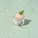 Round Lab Mugwort Calming Cream 80ml / 2.71 fl. oz.