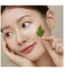 Mugwort Serum 30ml / 1.01 fl. oz.
