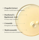 Laboratory Propolis Treatment Ampoule Essence 150ml / 5.07 fl. oz.
