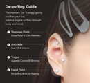 Ear Therapy Acupressure Patch (3-Mix)