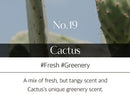 Hetras Therapy Body Lotion Cactus 1013ml