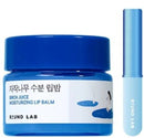 Round Lab Birch Juice Moisturizing Lip Balm 20ml with Brush Set
