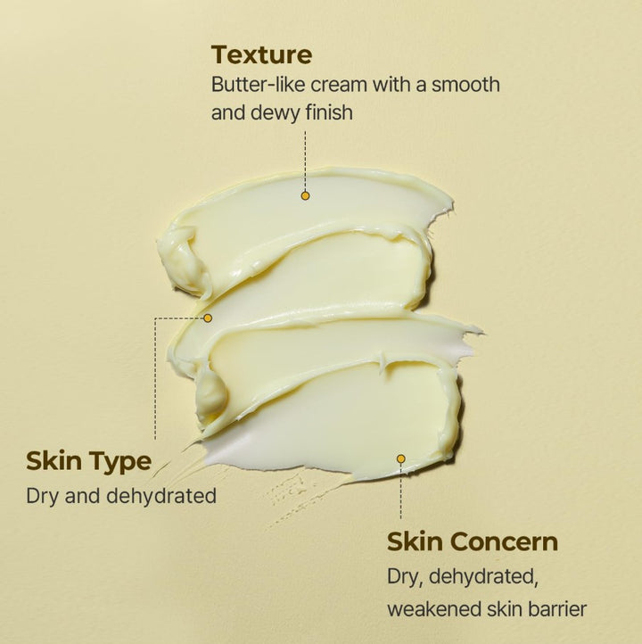 SOLID IN Ceramide Cream 70ml / 2.36 fl. oz.