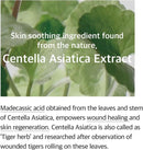 Mixsoon Soondy Centella Asiatica Essence 100ml / 3.38 fl oz