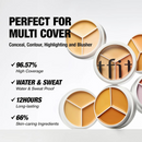 tfit Idol Cover Up Pro Concealer 15g 01 Neutral