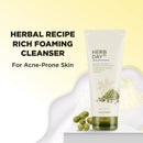 The face shop Herb Day 365 Master Blending Cleansing Foam Mung Bean & Mugwart Face Wash
