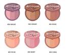 Too Cool For School Artclass by Rodin Blusher De Rosee