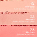 Too Cool For School Artclass by Rodin Blusher De Peche