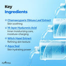 Isntree Ultra-Low Molecular Hyaluronic Acid Toner 300ml / 10.14 fl.oz