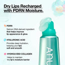 PDRN Hyaluron Lip Serum 10ml