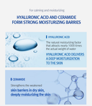 Pyunkang Yul ATO Mild Sun Cream Hybrid Sunblock SPF50 Broad Spectrum 75ml / 2.53 fl. oz.