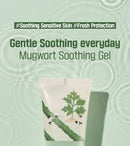 Round Lab Mugwort Calming Soothing Gel 150ml