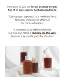 Numbuzin No.8 Glossy Essence Serum 50ml / 1.69 fl. oz.