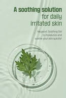 Round Lab Mugwort Calming Soothing Gel 150ml