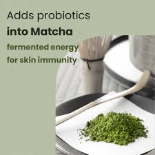 Heimish Matcha Biome Oil-Free Calming Gel Moisturizer 100ml