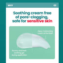 Red Blemish Clear Soothing Cream 70ml for Dry Skin