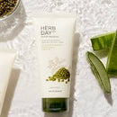 The face shop Herb Day 365 Master Blending Cleansing Foam Mung Bean & Mugwart Face Wash