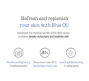 Pyunkang Yul Deep Blue Oil Mist 100ml / 3.38 fl. oz.