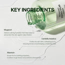 Orien Mugwort Soothe In Toner 160ml