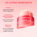 Lip Sleeping Mask 20ml / 0.7 fl. oz.