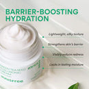 Innisfree Green Tea Seed Hyaluronic Acid Cream 50ml / 1.69 fl. oz.