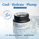 The True Cream Moisturizing Bomb 50ml / 1.69 fl. oz.