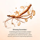Beauty of Joseon Revive Firming Moisturizer : Ginseng + Retinol